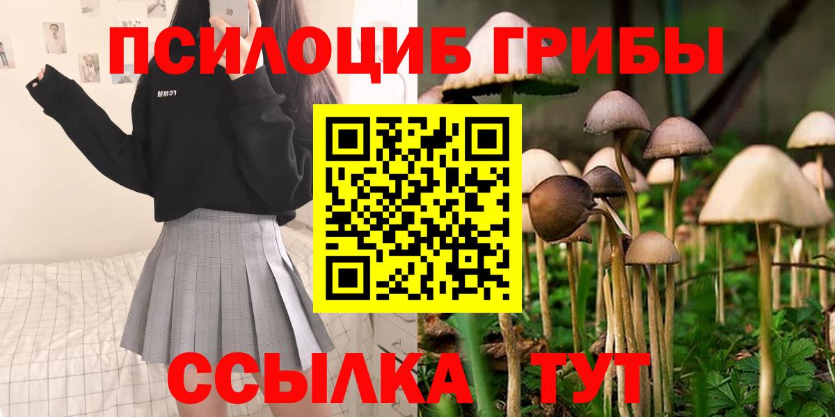 Галлюциногенные грибы прущие грибы Знаменск