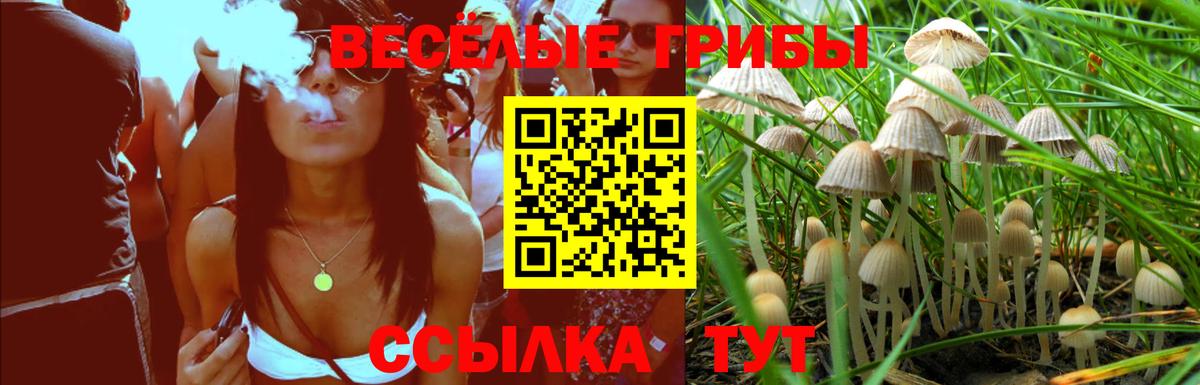 Знаменск  Галлюциногенные грибы мухоморы  Псилоцибиновые грибы прущие грибы  Вход с VPN 